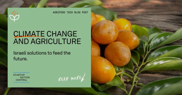 climate change and agriculture with oranges