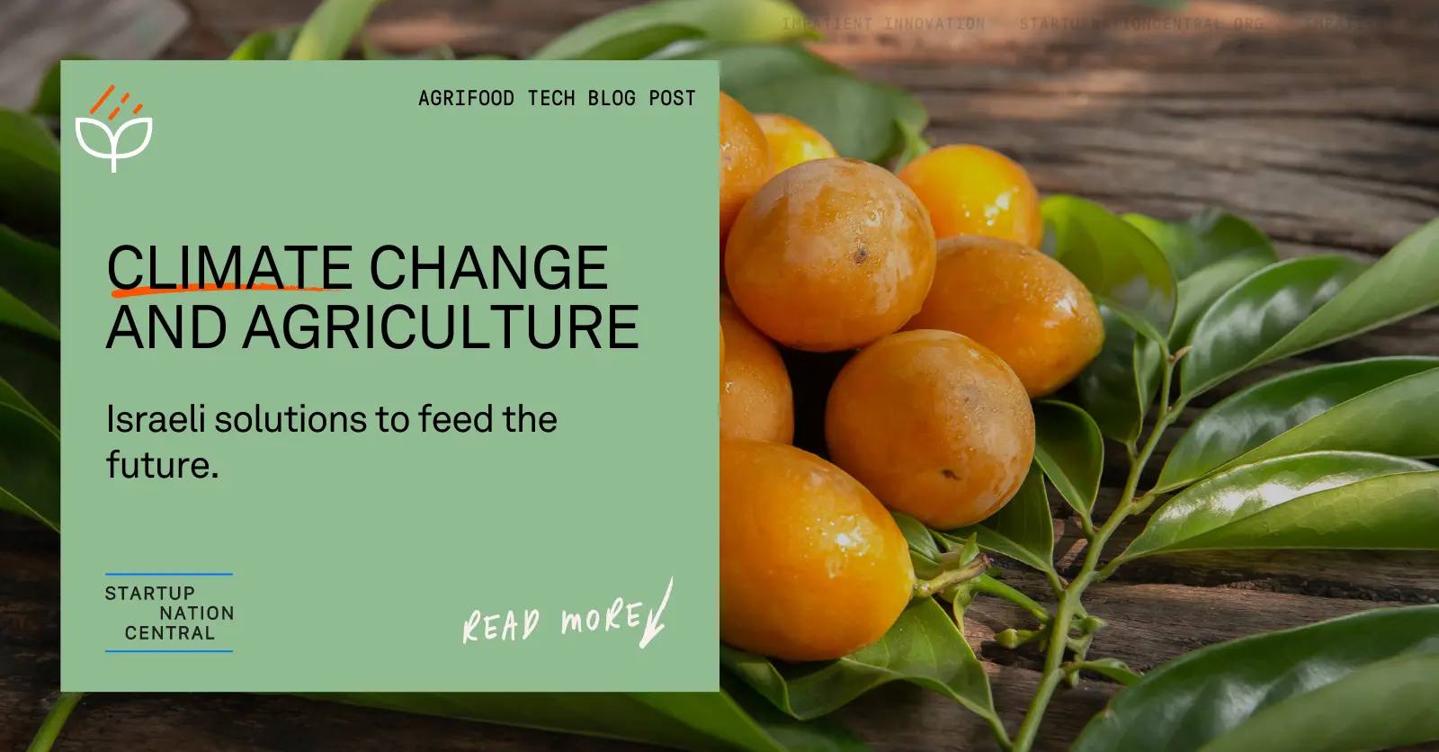 climate change and agriculture with oranges