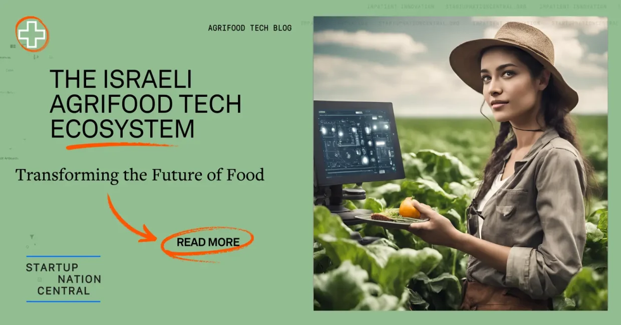 AgriFoodTech in the field with tomatoes